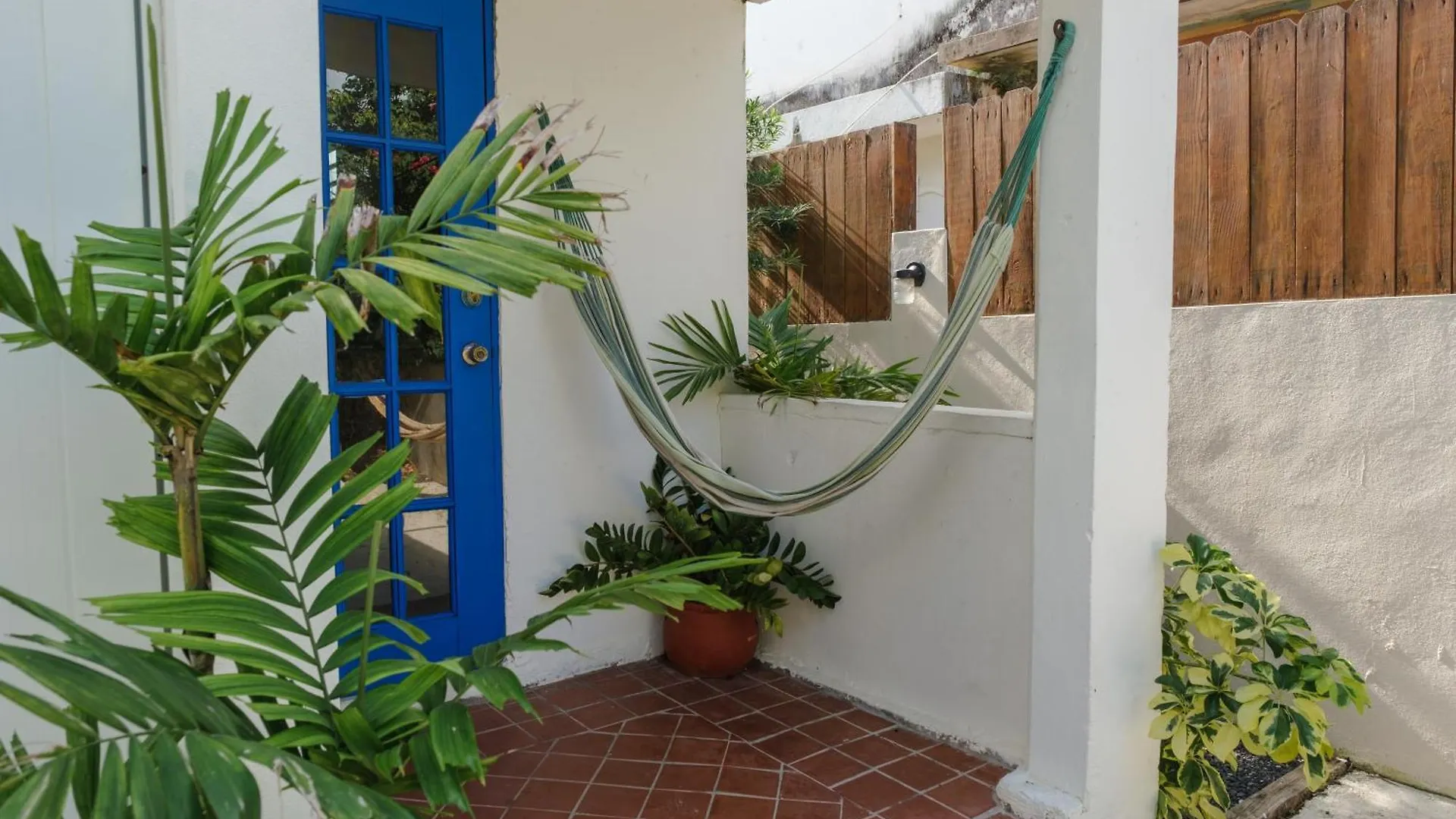 Dream Beach House By Sonsolea Host Luquillo