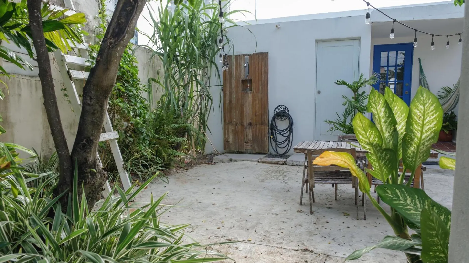 Dream Beach House By Sonsolea Host Luquillo